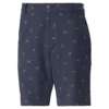 PUMA X Arnold Palmer Dancing Umbrellas Golf Shorts